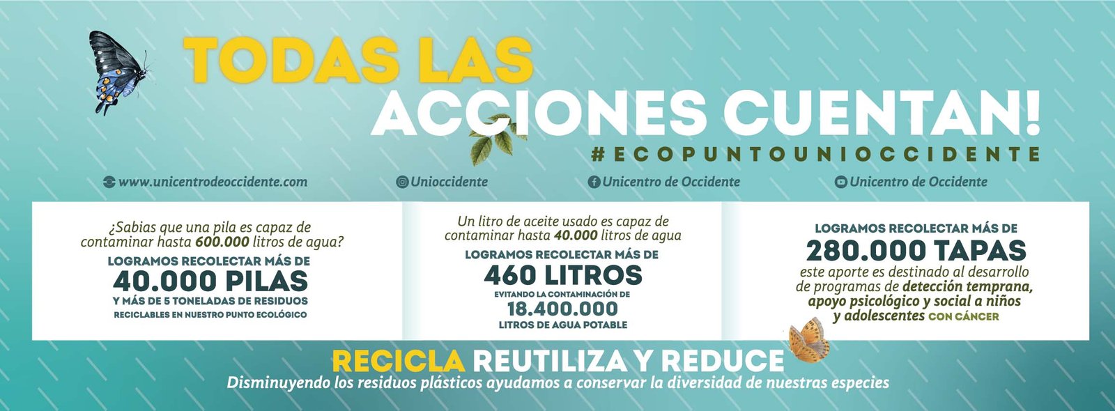 Banner-eco-punto-.jpg