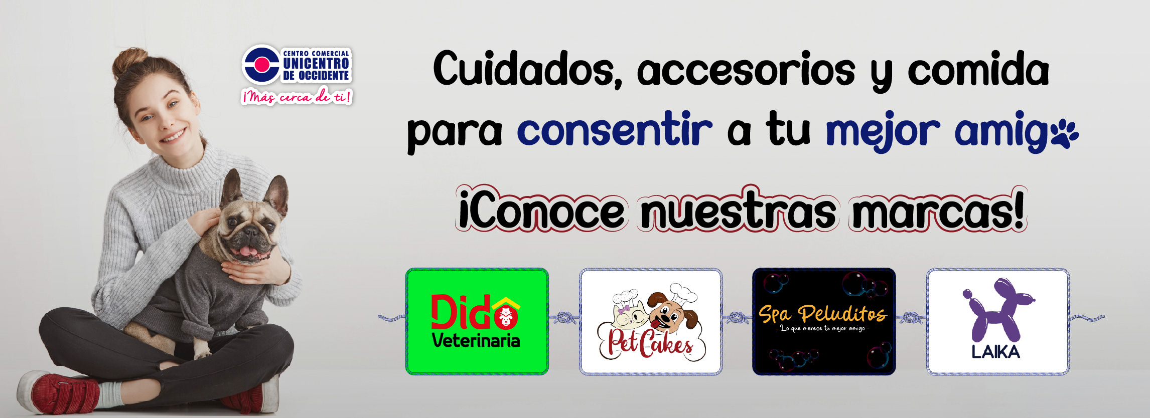banner - mascotas-01