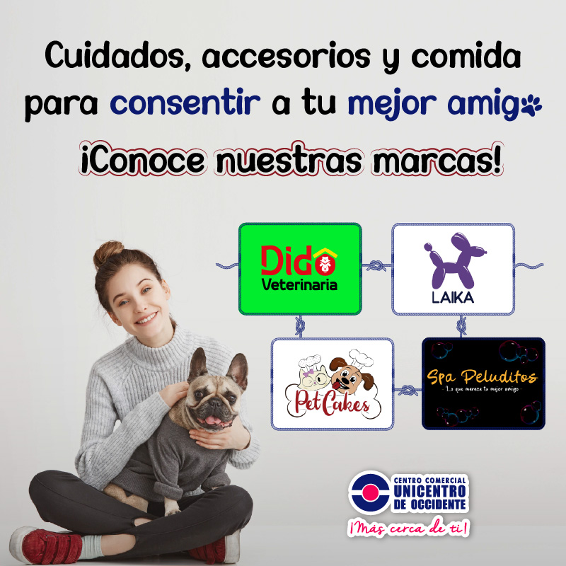 banner - mascotas-02